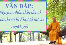 Vấn đáp: Nguyên nhân dẫn đến ở chùa đa số là Phật tử nữ và người già – Thích Nhật Từ van dap nguyen nhan dan den o ch