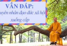 Vấn đáp: Nguyên nhân đạo đức xã hội xuống cấp – Thích Nhật Từ van dap nguyen nhan dao duc xa h
