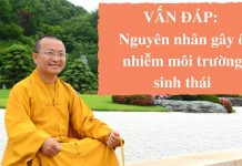 Vấn đáp: Nguyên nhân gây ô nhiễm môi trường sinh thái – Thích Nhật Từ van dap nguyen nhan gay o nhiem
