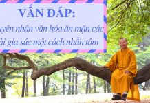 Vấn đáp: Nguyên nhân văn hóa ăn thịt các loài gia súc nhẫn tâm – Thích Nhật Từ van dap nguyen nhan van hoa an t