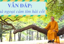 Vấn đáp: Nhà ngoại cảm tìm hài cốt – Thích Nhật Từ van dap nha ngoai cam tim hai co