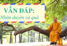 Vấn đáp: Nhân duyên và quả – Thích Nhật Từ van dap nhan duyen va qua thich