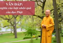 Vấn đáp: Nhân quả của đạo Phật – Thích Nhật Từ van dap nhan qua cua dao phat th
