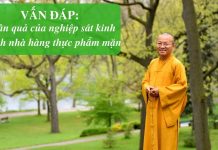 Vấn đáp: Nhân quả nghiệp sát kinh doanh nhà hàng thực phẩm mặn – Thích Nhật van dap nhan qua nghiep sat kinh