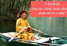 Vấn đáp: Nhân quả nhiều đời – Thích Nhật Từ van dap nhan qua nhieu doi thich