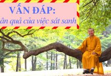 Vấn đáp: Nhân quả sát sanh – Thích Nhật Từ van dap nhan qua sat sanh thich
