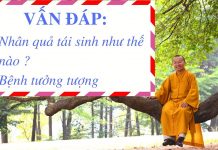 Vấn đáp: Nhân quả tái sinh, bệnh tưởng tượng – Thích Nhật Từ van dap nhan qua tai sinh benh t