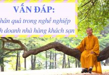 Vấn đáp: Nhân quả trong nghề nghiệp kinh doanh – Thích Nhật Từ van dap nhan qua trong nghe nghi
