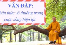 Vấn đáp: Nhận thức vô thường trong cuộc sống hiện tại – Thích Nhật Từ van dap nhan thuc vo thuong tron