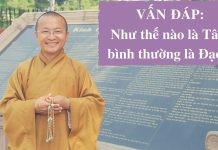 Vấn đáp: Như thế nào là Tâm bình thường là đạo ? – Thích Nhật Từ van dap nhu the nao la tam binh