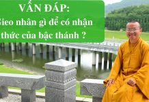 Vấn đáp: Những hiểu lầm về pháp môn quán thoại đầu – Thích Nhật Từ van dap nhung hieu lam ve phap m