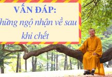 Vấn đáp: Những ngộ nhận về sau khi chết – Thích Nhật Từ van dap nhung ngo nhan ve sau kh