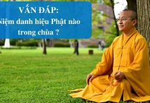 Vấn đáp: Niệm danh hiệu Phật nào trong chùa – Thích Nhật Từ van dap niem danh hieu phat nao