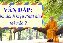 Vấn đáp: Niệm danh hiệu Phật như thế nào ? – Thích Nhật Từ van dap niem danh hieu phat nhu