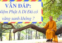 Vấn đáp: Niệm Phật A Đà vãng sanh – Thích Nhật Từ van dap niem phat a da vang sanh