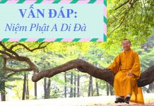 Vấn đáp: Niệm Phật A Di Đà – Thích Nhật Từ van dap niem phat a di da thich 1