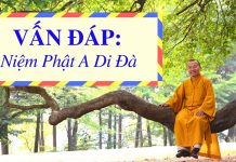 Vấn đáp: Niệm Phật A Di Đà – Thích Nhật Từ van dap niem phat a di da thich