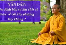 Vấn đáp: Niệm Phật bổn sư – Thích Nhật Từ van dap niem phat bon su thich n