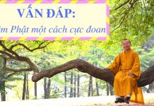 Vấn đáp: Niệm Phật một cách cực đoan – Thích Nhật Từ van dap niem phat mot cach cuc d