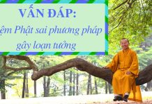 Vấn đáp: Niệm Phật sai phương pháp, vọng tưởng – Thích Nhật Từ van dap niem phat sai phuong pha