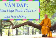 Vấn đáp: Niệm Phật thành Phật có thật hay không? – Thích Nhật Từ van dap niem phat thanh phat co