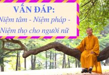 Vấn đáp: Niệm tâm – niệm pháp – niệm thọ cho người nữ – Thích Nhật Từ van dap niem tam niem phap niem