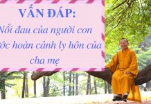 Vấn đáp: Nổi đau của người con trước hoàn cảnh ly hôn của cha mẹ – Thích Nhật Từ van dap noi dau cua nguoi con tr