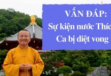 Vấn đáp: Nước Thích Ca bị diệt vong – Thích Nhật Từ van dap nuoc thich ca bi diet vo