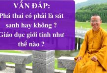 Vấn đáp: Phá thai có phải là sát sanh hay không, Giáo dục giới tính như thế nào – Thích Nhật Từ van dap pha thai co phai la sat