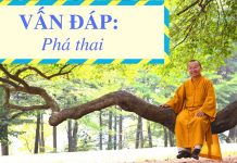 Vấn đáp: Phá thai – Thích Nhật Từ van dap pha thai thich nhat tu 1