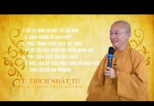 Vấn Đáp: Phái Cổ Sư Môn – Định Nghĩa Về Đạo Phật – Thích Nhật Từ van dap phai co su mon dinh nghi