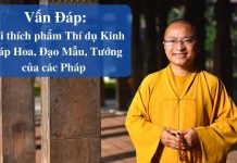 Vấn đáp: Phẩm Thí dụ Kinh Pháp Hoa, Đạo Mẫu, Tướng của các Pháp – Thích Nhật Từ van dap pham thi du kinh phap ho