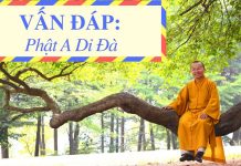 Vấn đáp: Phật A Di Đà – Thích Nhật Từ van dap phat a di da thich nhat