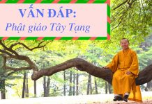 Vấn đáp: Phật giáo Tây Tạng – Thích Nhật Từ van dap phat giao tay tang thich