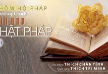 Vấn Đáp Phật Pháp Kỳ 1 – Thích Trí Minh van dap phat phap ky 1 thich tri