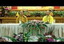 Vấn Đáp Phật Pháp – Thích Thiện Thuận van dap phat phap thich thien th 1