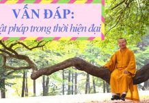 Vấn đáp: Phật pháp trong thời hiện đại – Thích Nhật Từ van dap phat phap trong thoi hie