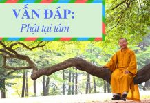 Vấn đáp: Phật tại tâm – Thích Nhật Từ van dap phat tai tam thich nhat 1