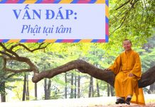 Vấn đáp: Phật tại tâm – Thích Nhật Từ van dap phat tai tam thich nhat