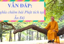 Vấn đáp: Phật tích tại Ấn Độ – Thích Nhật Từ van dap phat tich tai an do thic