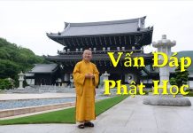 Vấn đáp: Phật tính – Thích Nhật Từ van dap phat tinh thich nhat tu