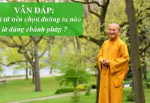 Vấn đáp: Phât tử chọn đường tu đúng chánh pháp – Thích Nhật Từ van dap phat tu chon duong tu du