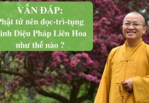 Vấn đáp: Phật tử nên đọc-trì-tụng Kinh Diệu Pháp Liên Hoa như thế nào? – Thích Nhật Từ van dap phat tu nen doc tri tung