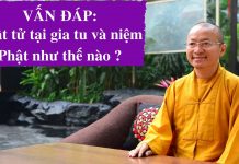 Vấn đáp: Phật tử tại gia tu và niệm Phật như thế nào ? – Thích Nhật Từ van dap phat tu tai gia tu va ni