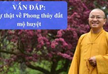 Vấn đáp: Phong thủy đất mộ huyệt – Thích Nhật Từ van dap phong thuy dat mo huyet