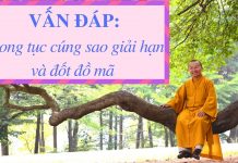 Vấn đáp: Phong tục cúng sao giải hạn, đốt đồ mã – Thích Nhật Từ van dap phong tuc cung sao giai 1