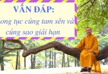 Vấn đáp: Phong tục cúng tam sên, cúng sao – Thích Nhật Từ van dap phong tuc cung tam sen c
