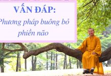 Vấn đáp: Phương pháp buông bỏ phiền não – Thích Nhật Từ van dap phuong phap buong bo phi