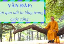 Vấn đáp: Phương pháp chánh niệm trong cuộc sống – Thích Nhật Từ van dap phuong phap chanh niem t
