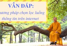 Vấn đáp: Phương pháp chọn lọc luồng thông tin trên internet – Thích Nhật Từ van dap phuong phap chon loc luo